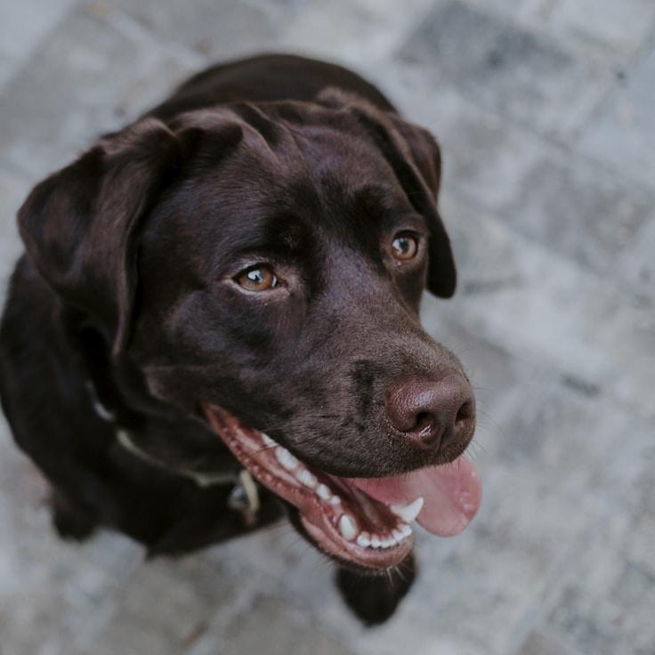 Portrait of Kieran, community mentor and Italian cuisine specialist